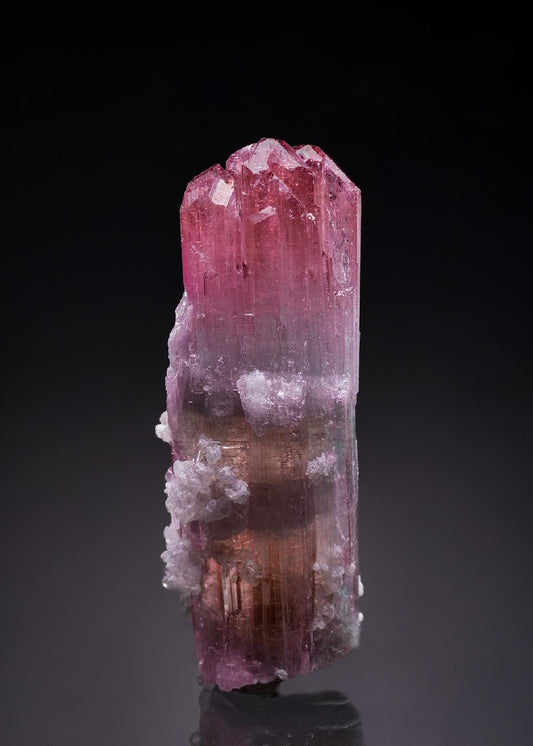 CC46806 specimen image