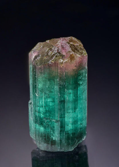 CC46822 specimen image