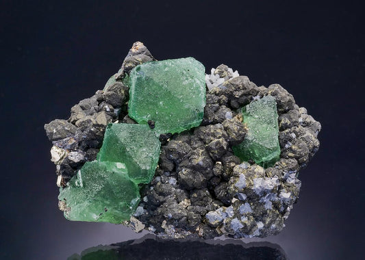CC46862 specimen image
