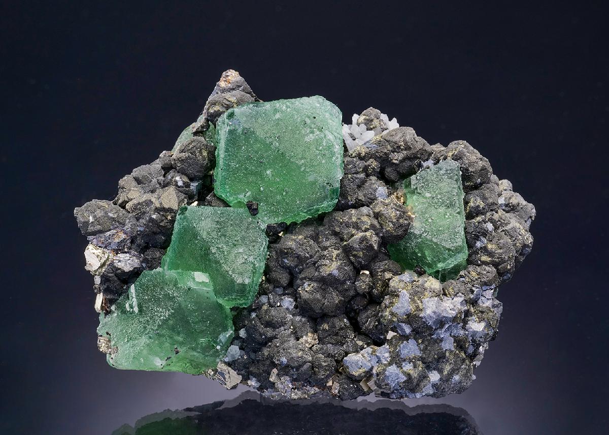 CC46862 specimen image