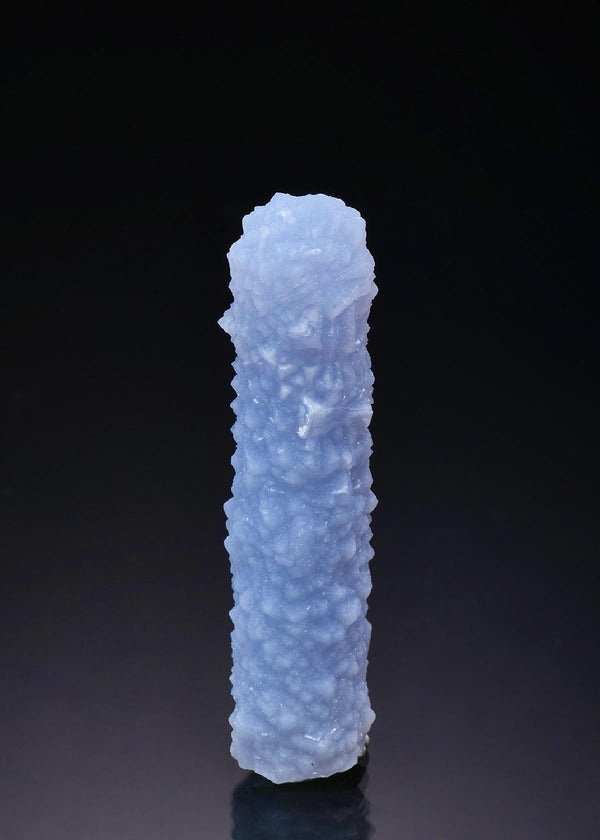CC46890 specimen image