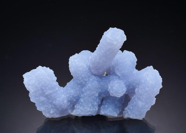 CC46894 specimen image