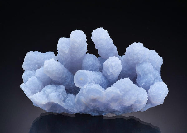 CC46898 specimen image