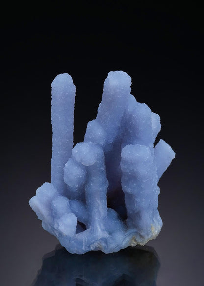 CC46906 specimen image