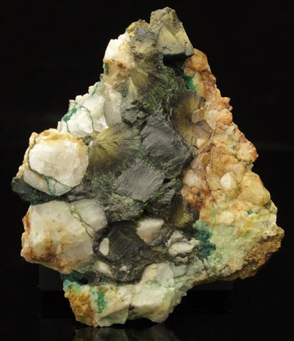 CC4692 specimen image
