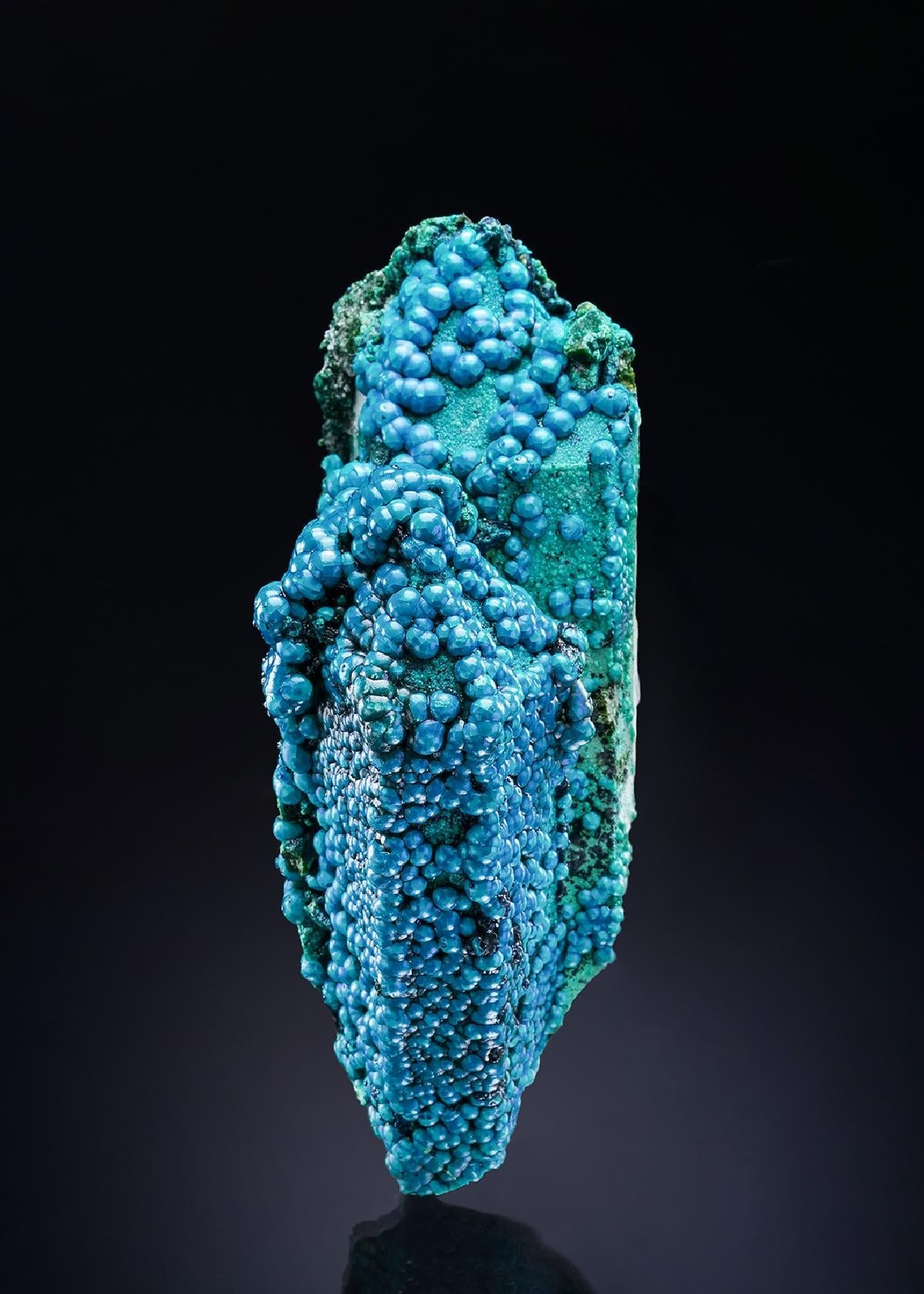 CC46922 specimen image