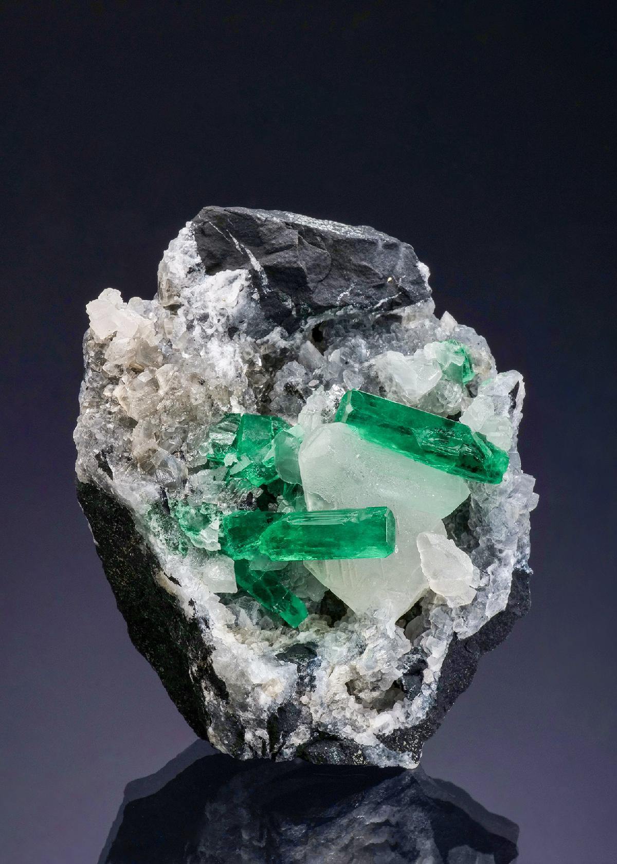 CC46960 specimen image