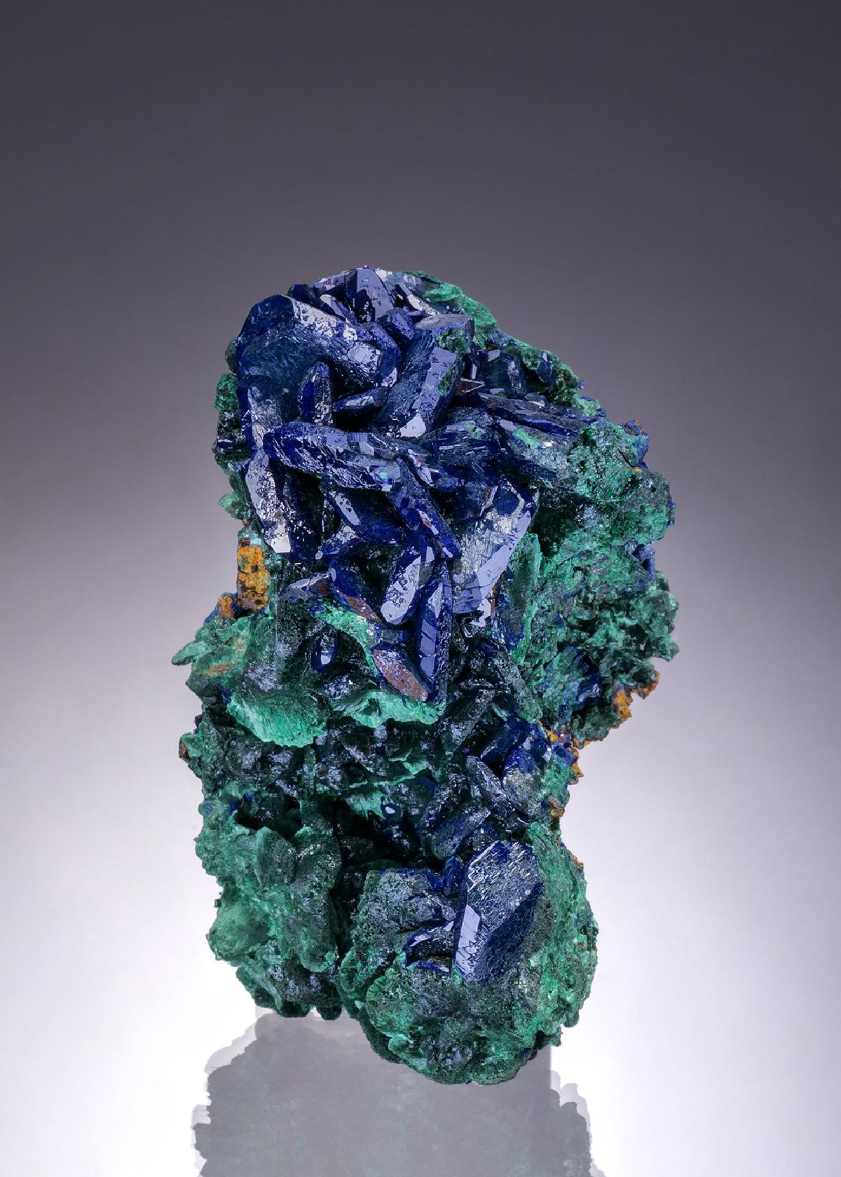 CC46984 specimen image