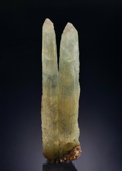 CC46986 specimen image