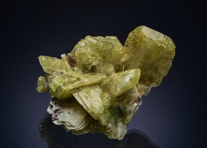 CC46996 specimen image