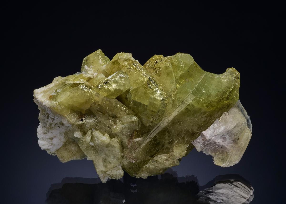 CC46998 specimen image
