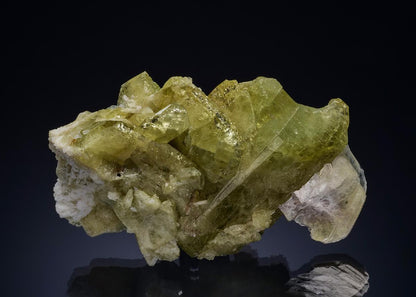 CC46998 specimen image