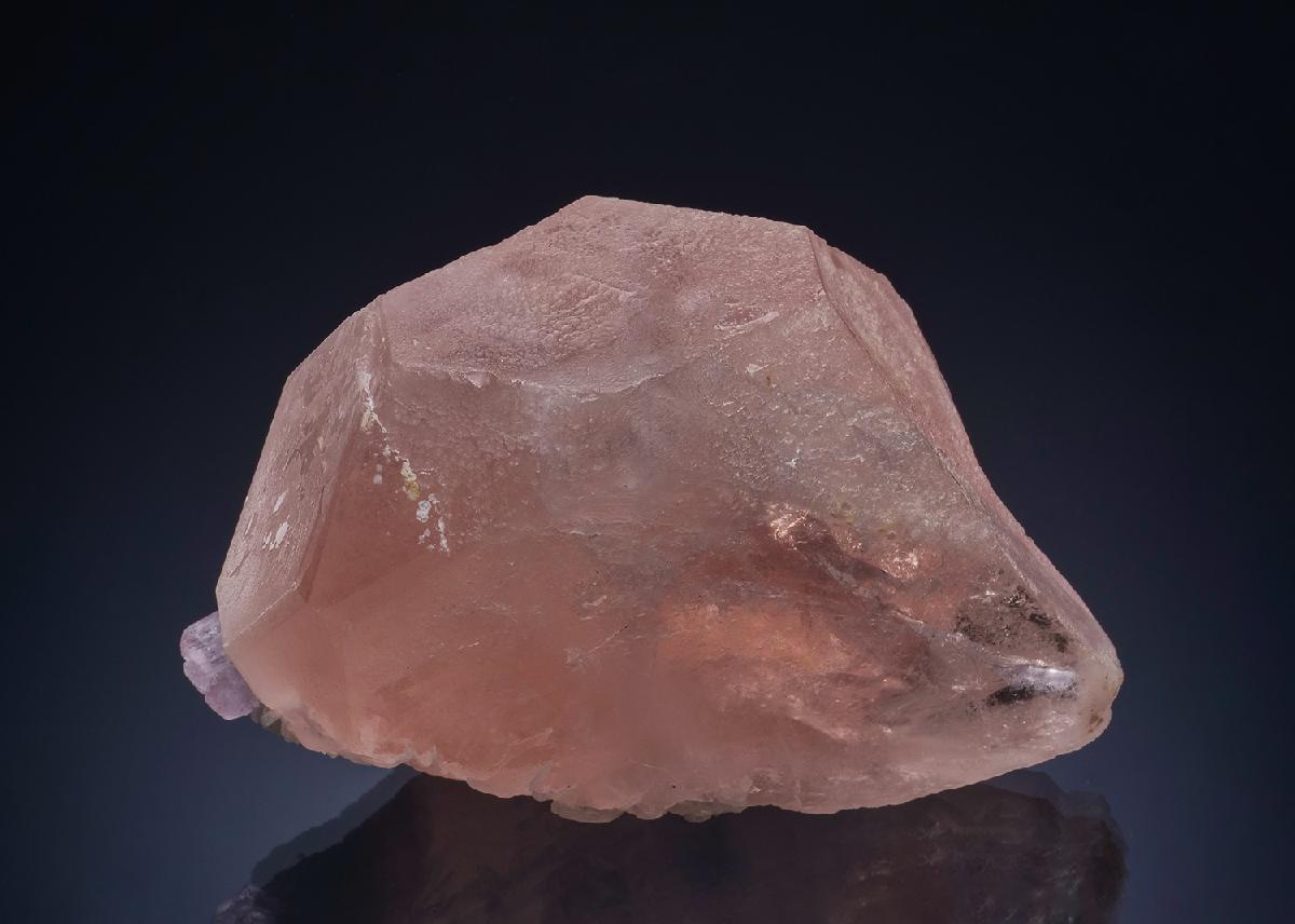 CC47000 specimen image
