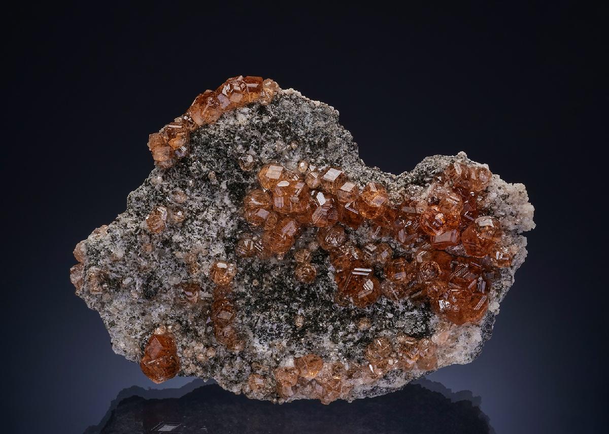 CC47002 specimen image