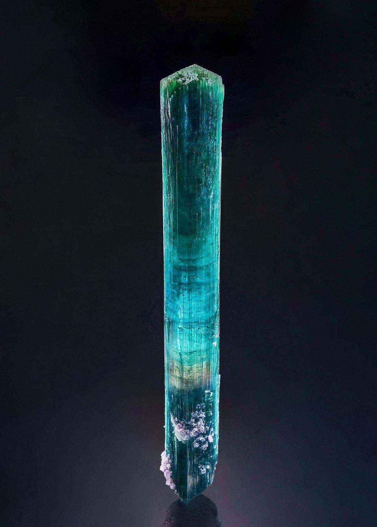 CC47008 specimen image