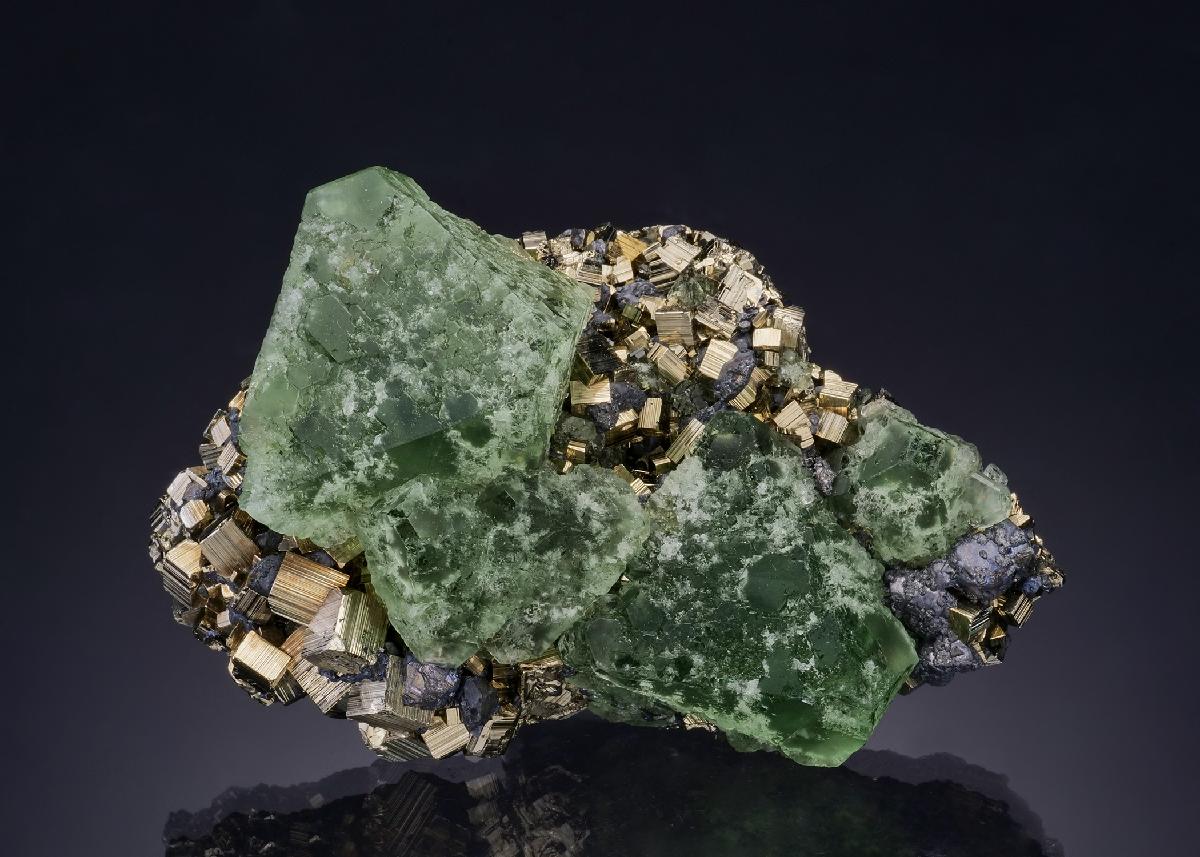 CC47124 specimen image