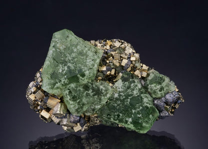 CC47124 specimen image