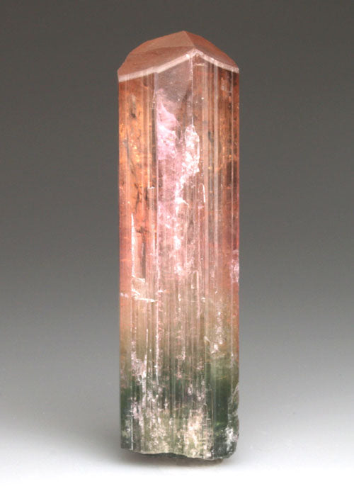 CC4714 specimen image