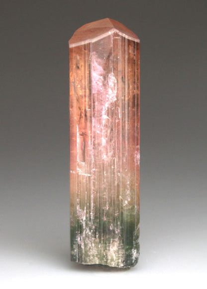 CC4714 specimen image