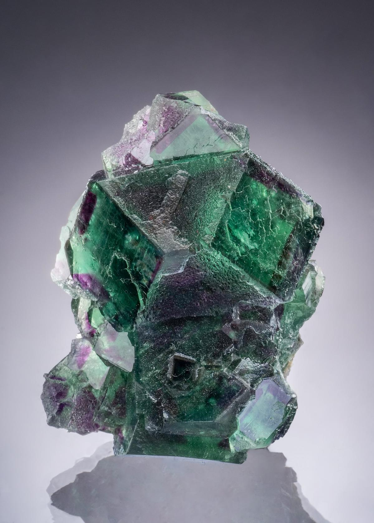 CC47152 specimen image
