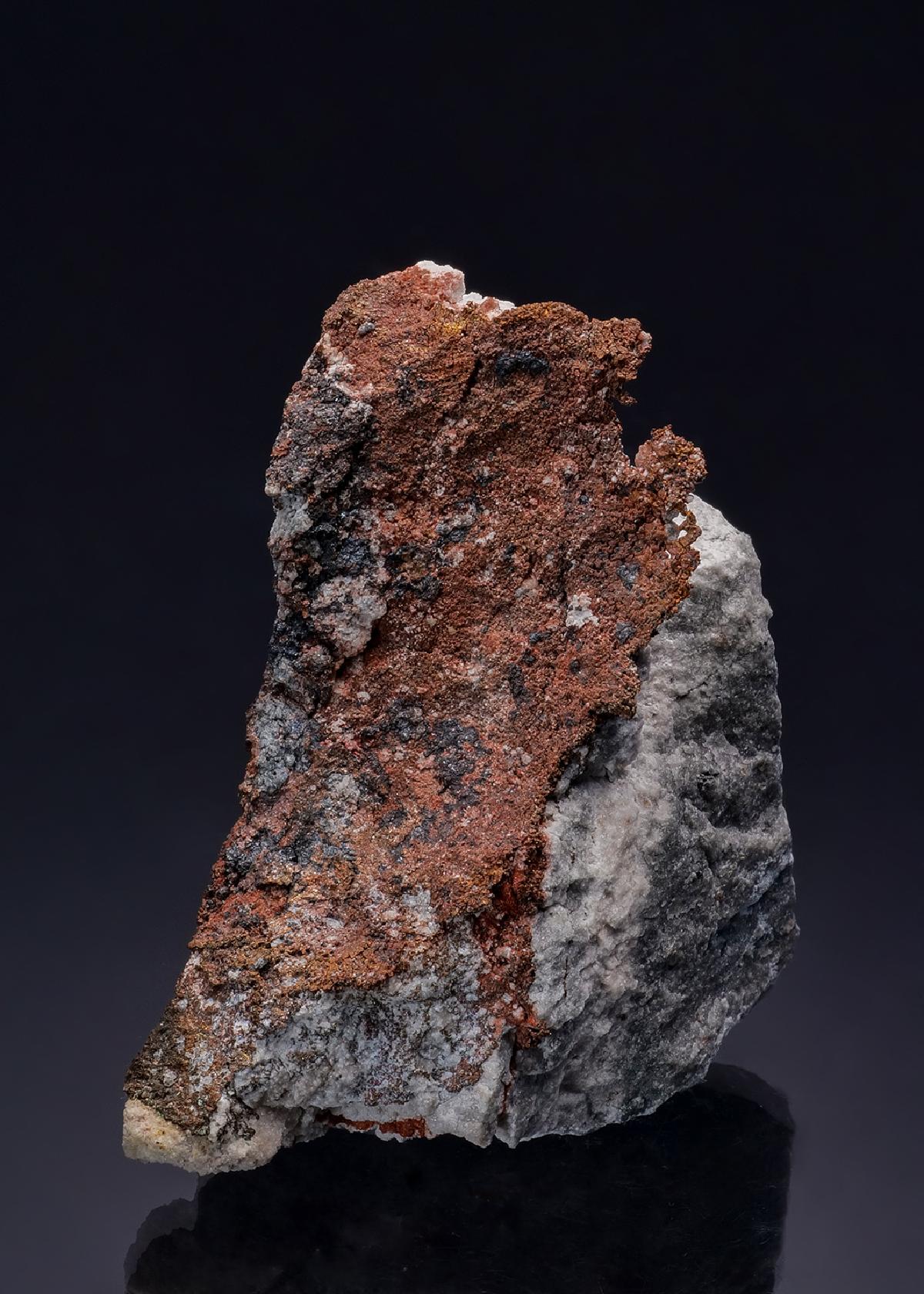 CC47244 specimen image