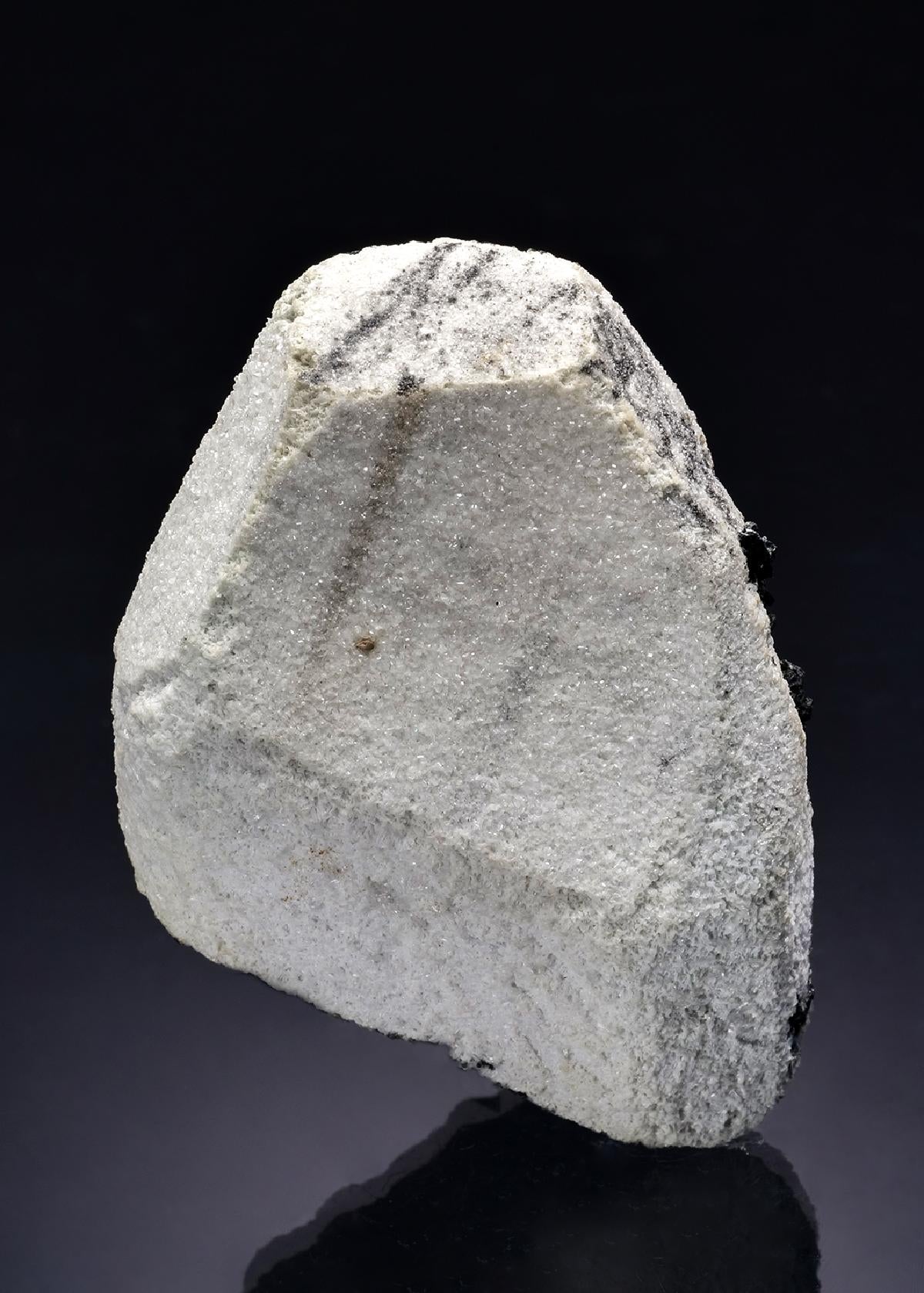 CC47246 specimen image