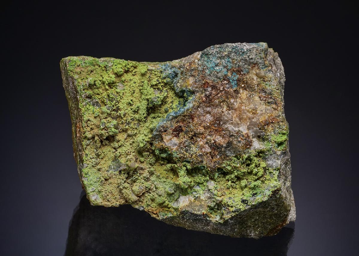 CC47260 specimen image