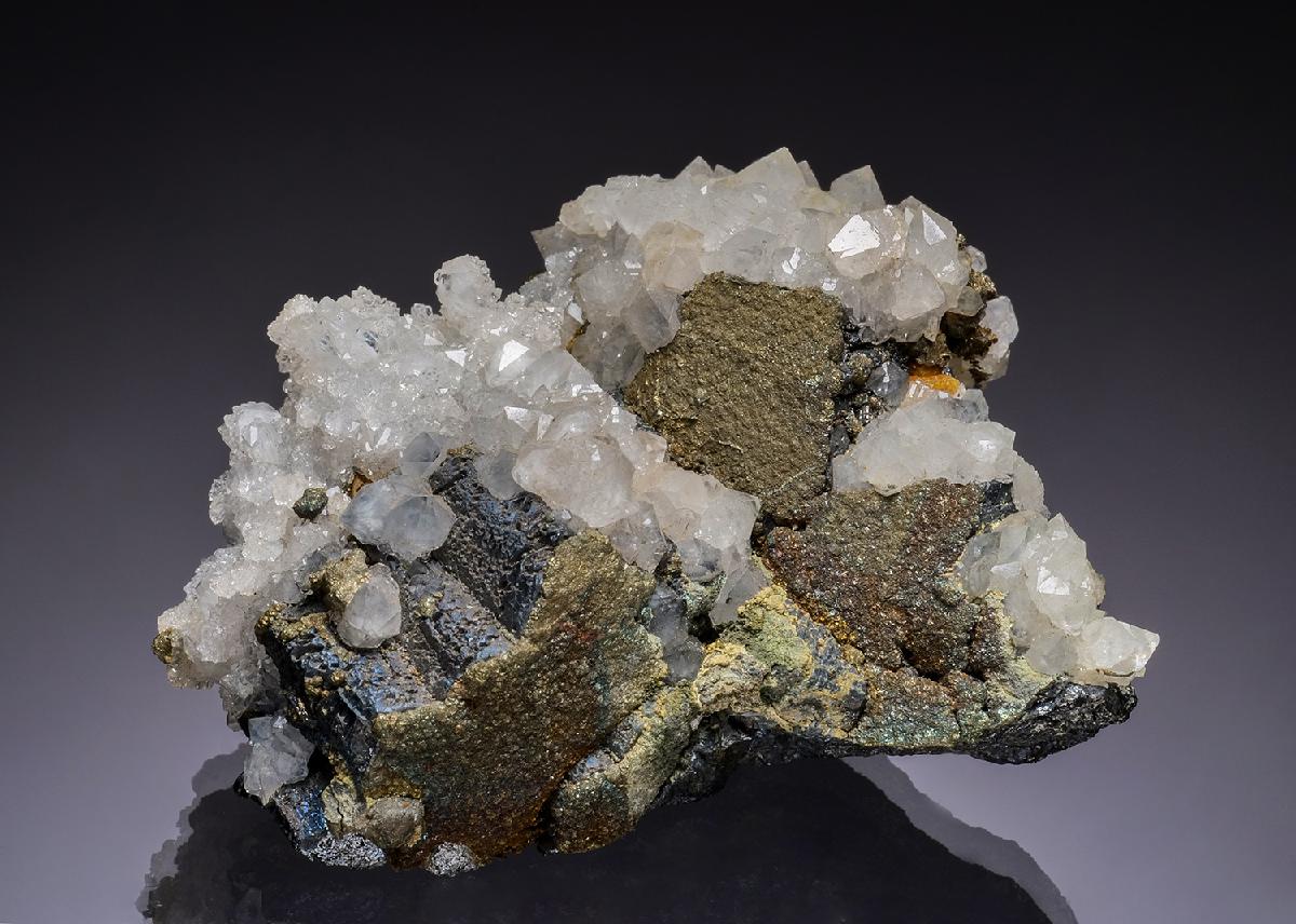 CC47316 specimen image