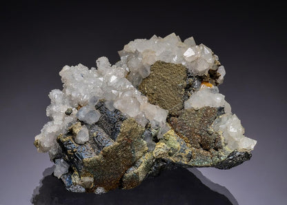 CC47316 specimen image