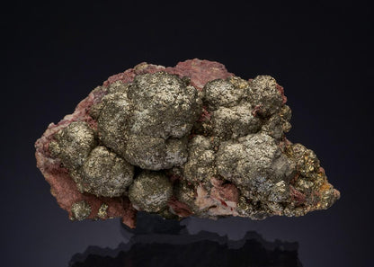 CC47332 specimen image