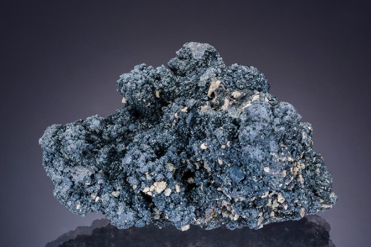 CC47372 specimen image