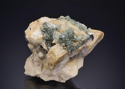 CC47380 specimen image