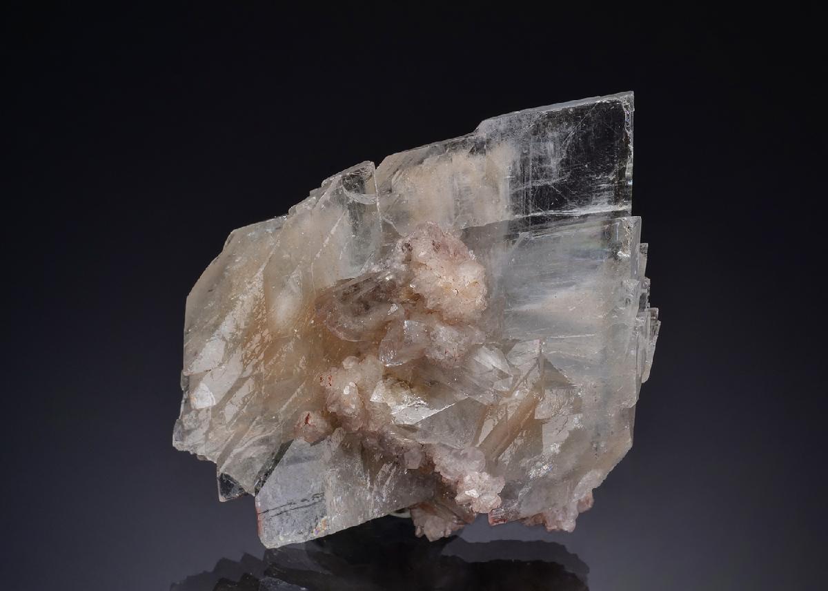 CC47382 specimen image