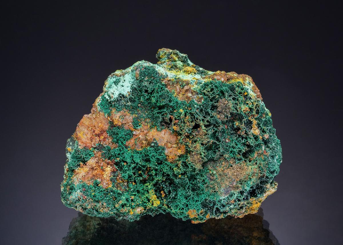CC47390 specimen image