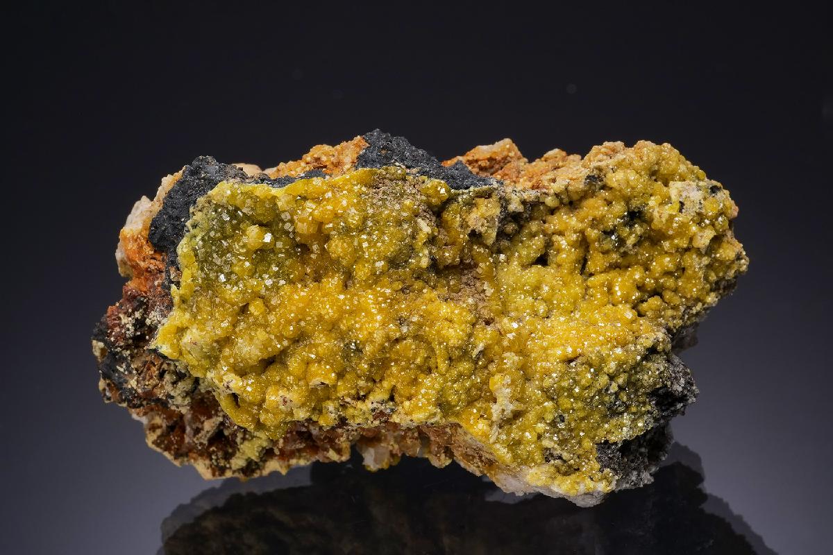 CC47408 specimen image