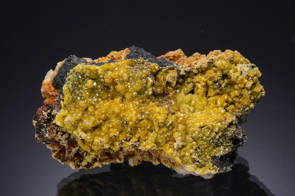 CC47408 specimen image