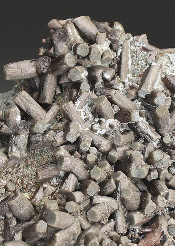 CC4742 specimen image