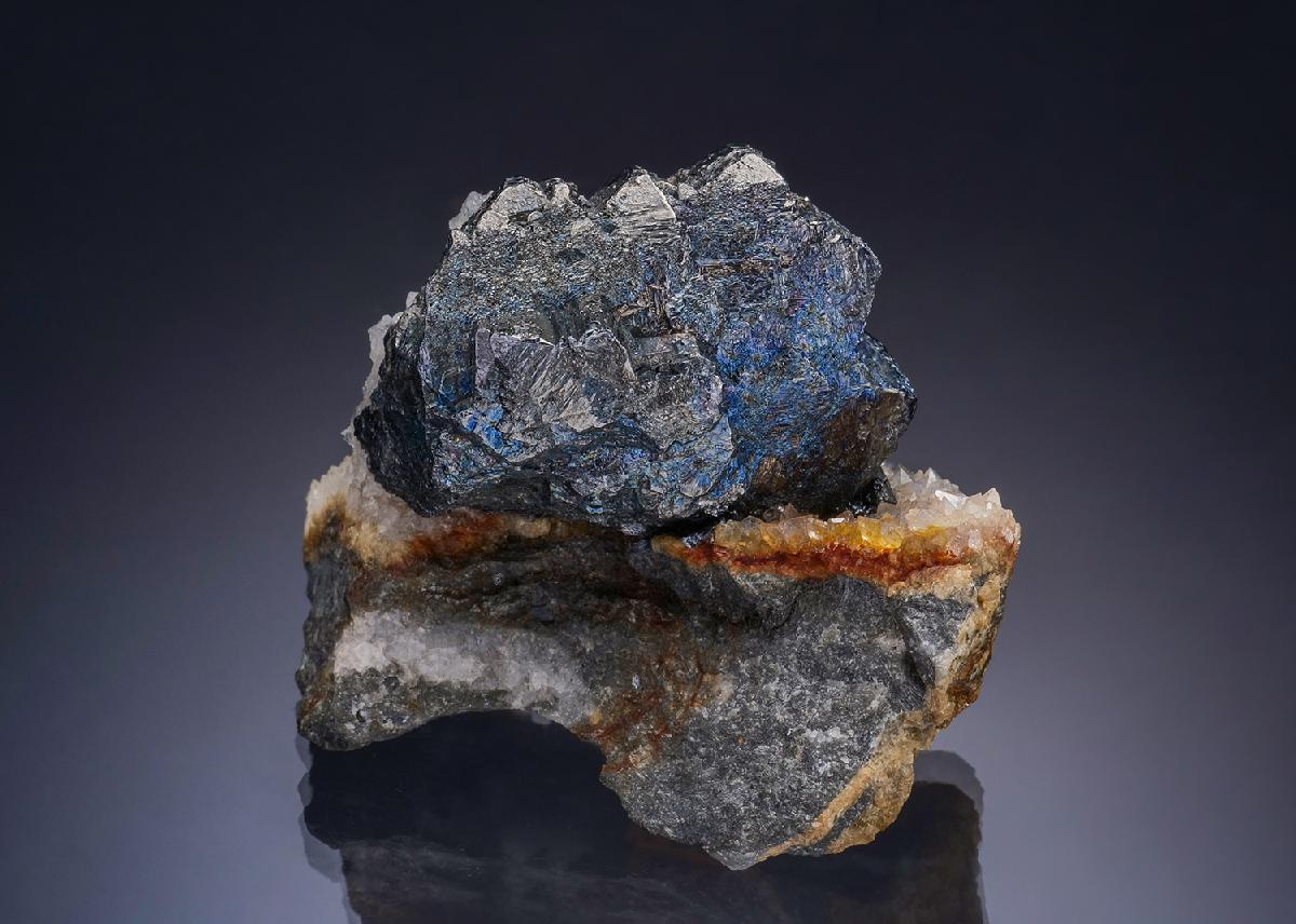 CC47444 specimen image
