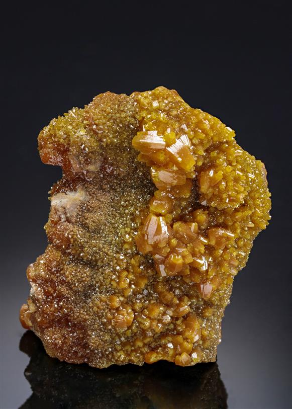 CC4747 specimen image
