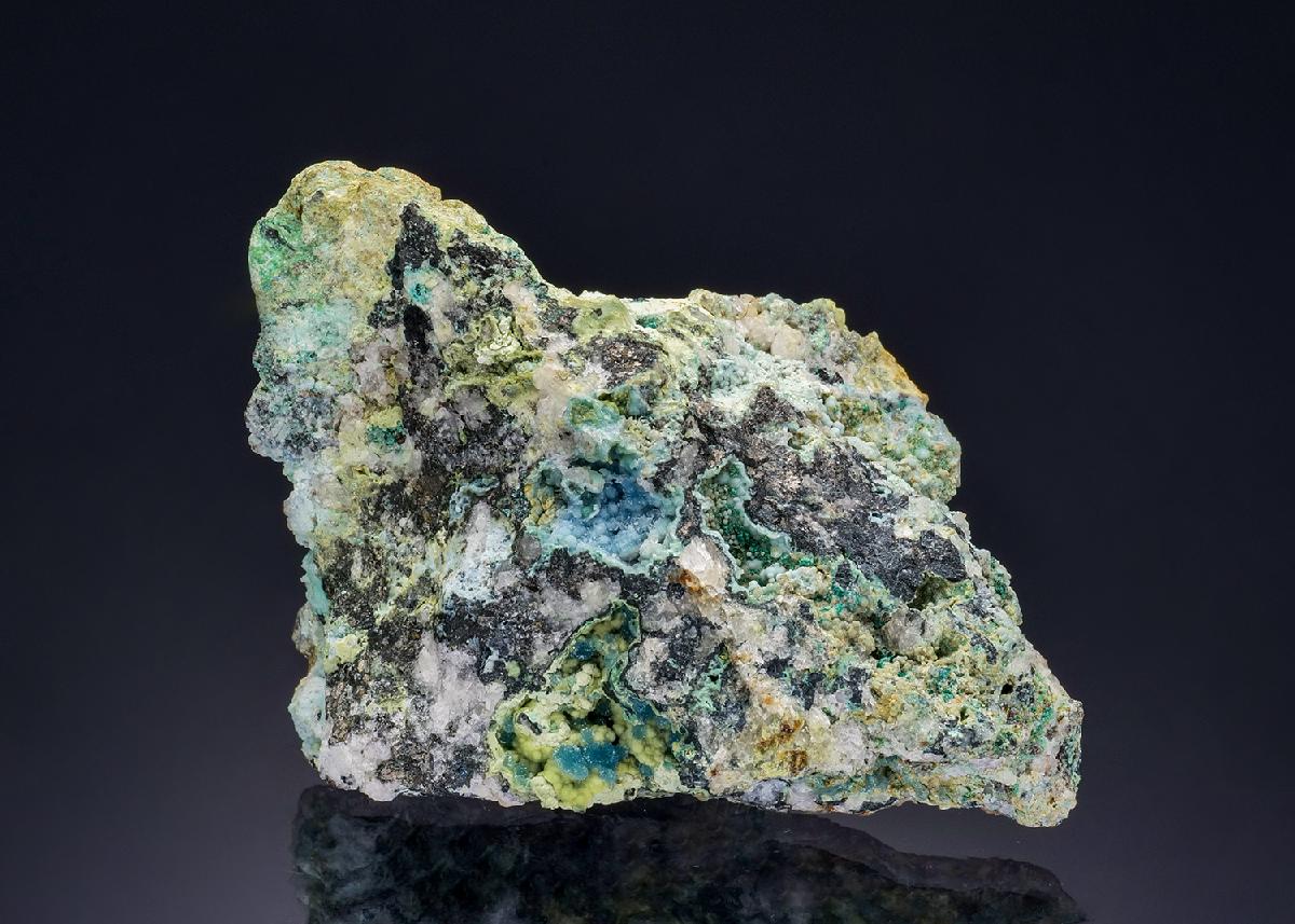 CC47472 specimen image