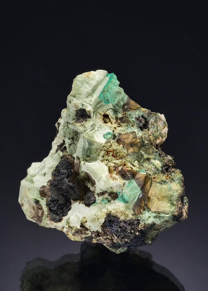 CC47476 specimen image