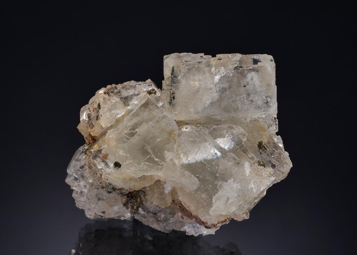 CC47486 specimen image