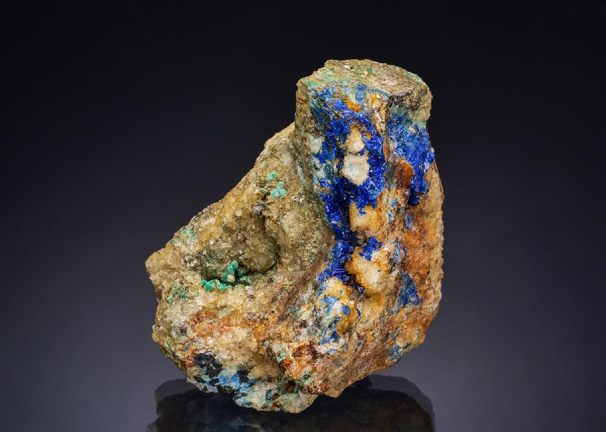 CC47498 specimen image