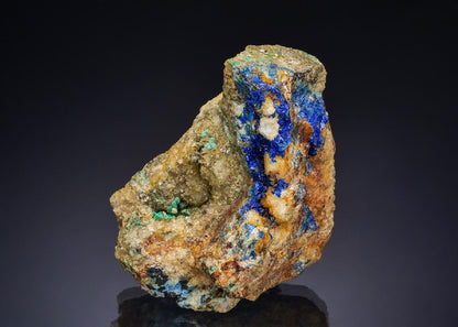 CC47498 specimen image