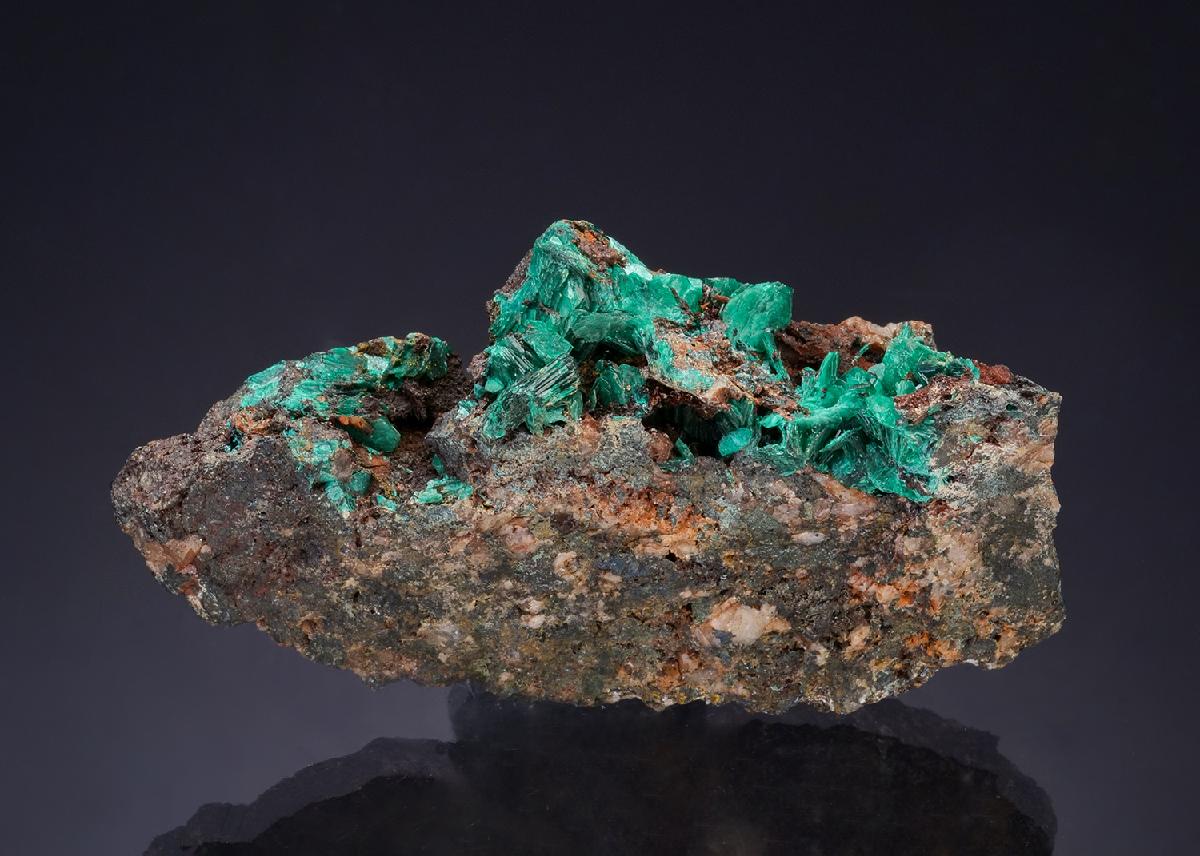 CC47508 specimen image