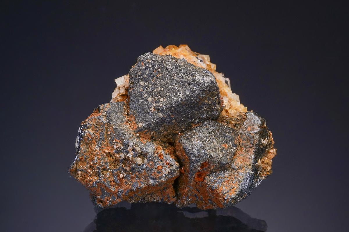CC47514 specimen image