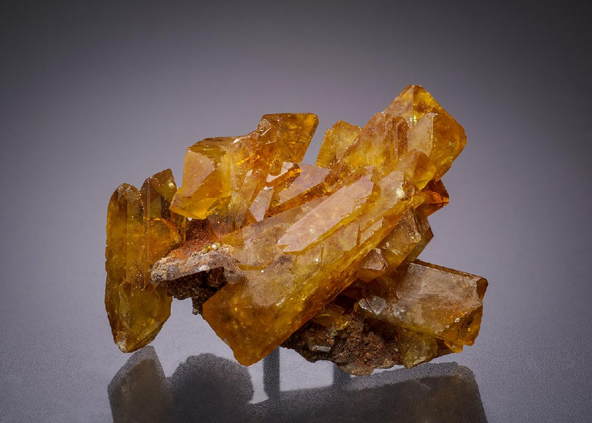 CC4754 specimen image