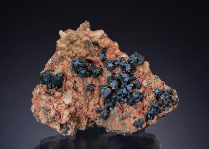 CC47550 specimen image