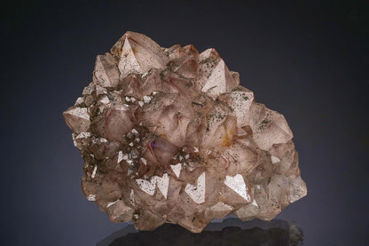 CC47630 specimen image