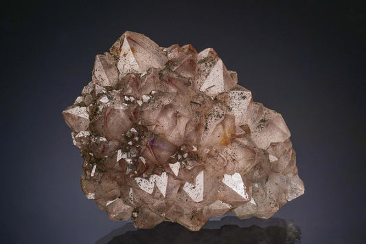 CC47630 specimen image